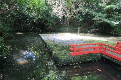 this is a bridged lotus pond