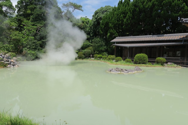 White pond hell means that the color's variety is raging from red to white,really multiple!