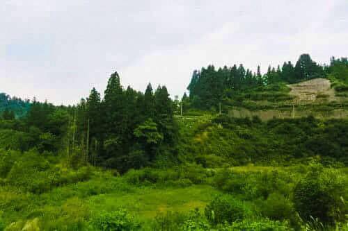 Mountain view in Yamakoshi