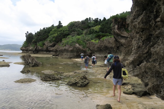 Okinawa’s Ishigaki Island: A Friendly Hostel, Stargazing and Tropical Fish