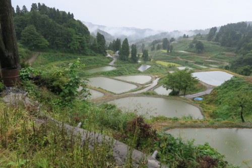 Terraced rice fields in Yamakoshi