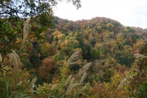 The autumn scenery of Mount Hotaka