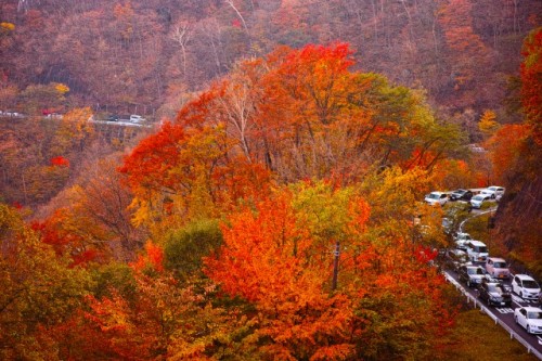 Nikko, amongst the glorious autumn foliage!