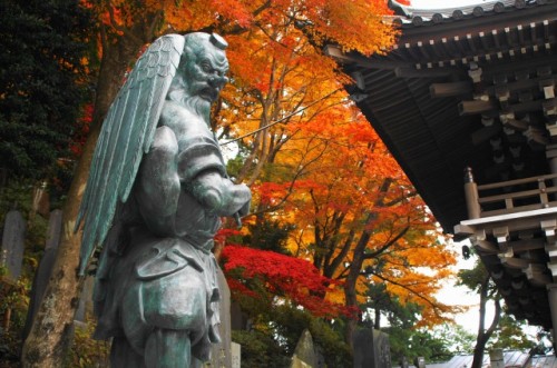Mt Takao is in Tokyo where is also famous for autumn leaves!
