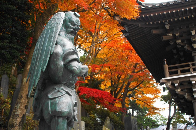 Top 5 destinations for the best Autumn leaves in Japan!