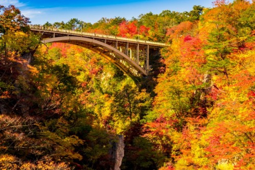 narukokyo gorge in miyagi prefecture is famous for autumn leaves