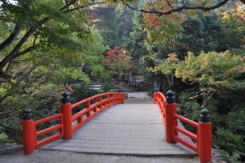 Maple Valley Park momijidani koen