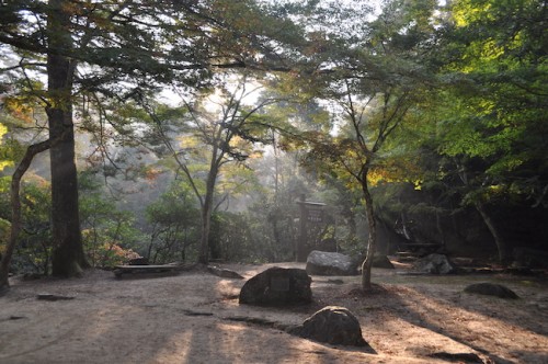 Mapple Valley Park momijidani koen