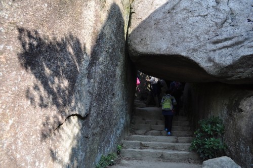 The Hiking trail at Mount Misen, Miyajima