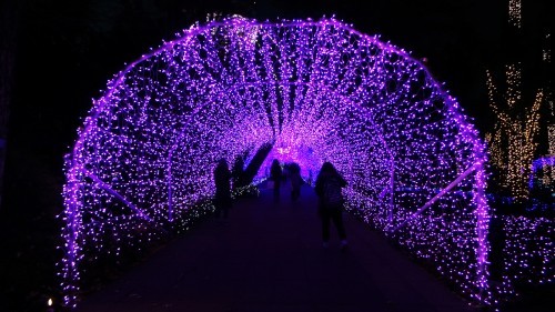 Illumination tunnel