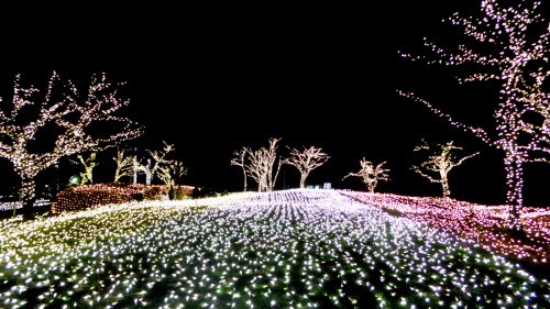Light up garden in Enoshima