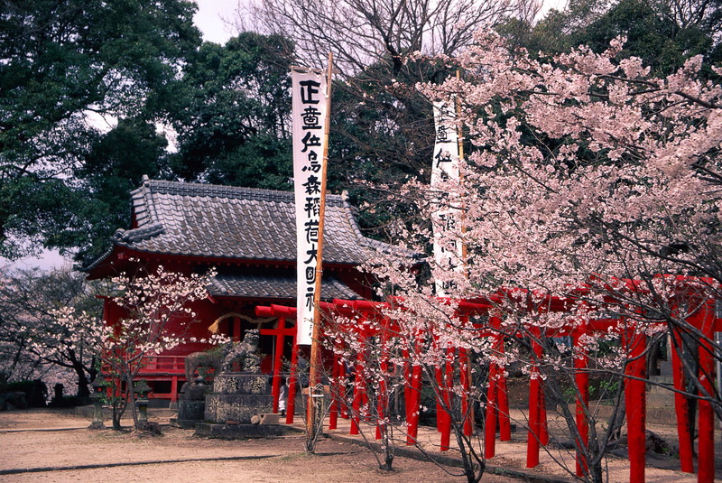 Discover Ogi – the little Kyoto of Kyushu