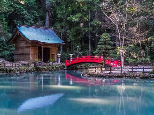 Soba, Dango and Visit of the Okuni Jinja Shrine, the “Little Kyoto” of Enshu