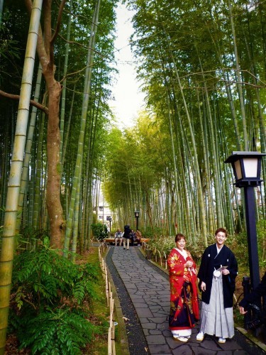 Shuzenji's bamboo forest