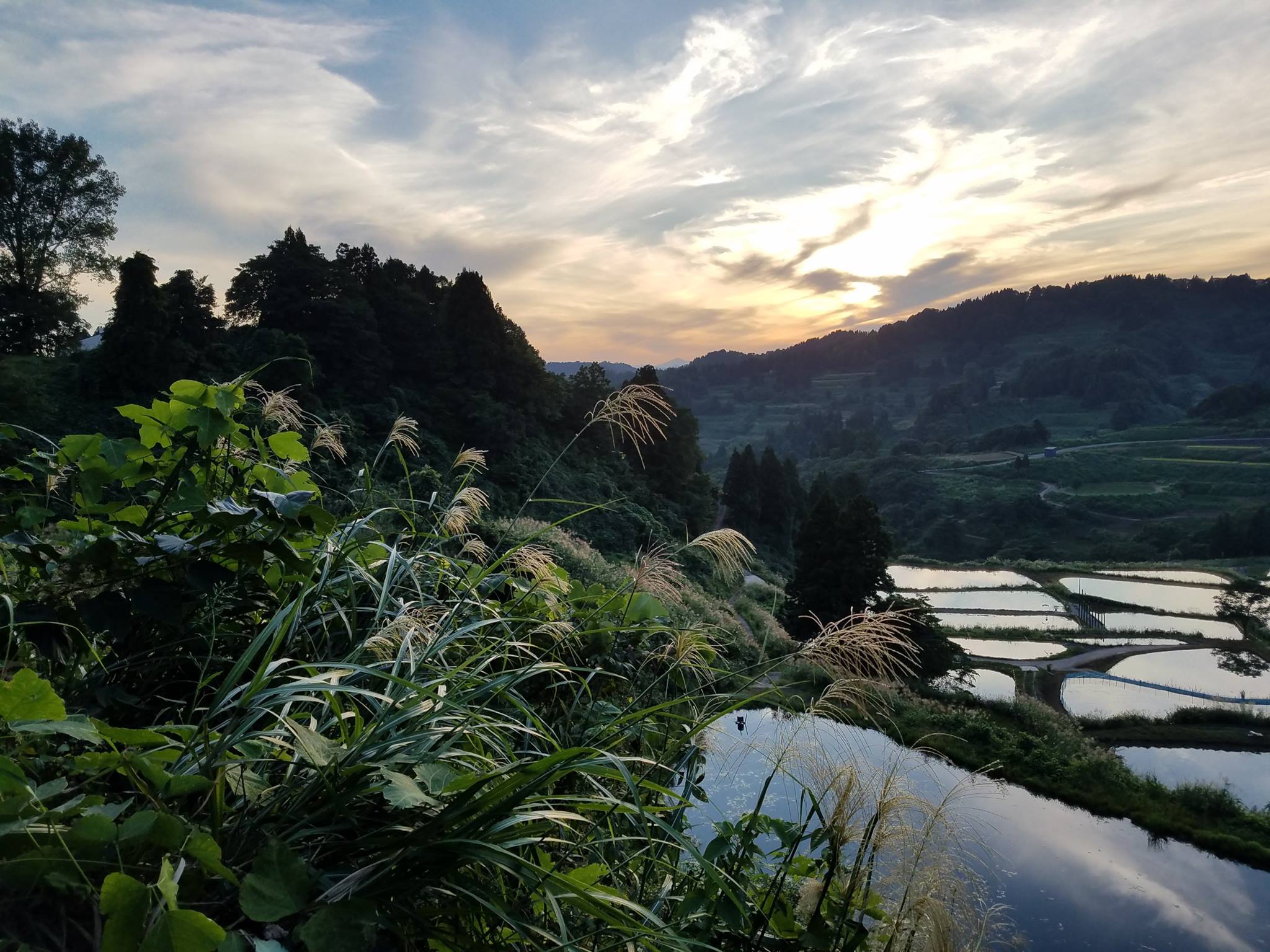 Yamakoshi Village: Vivid Culture and Rural Respite in the Heart of Niigata Prefecture