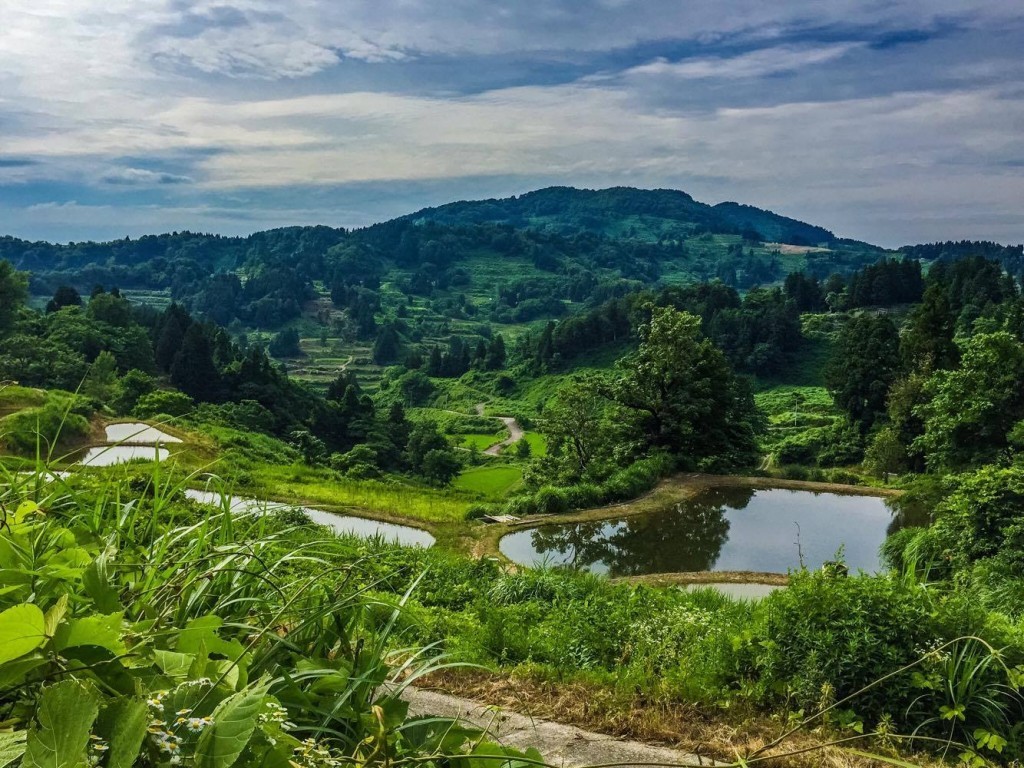 Eco Tourism in Rural Japan at Yamakoshi Village