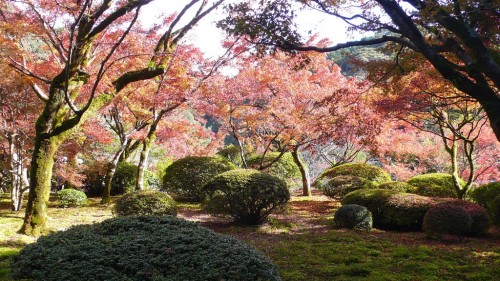 Discover Japanese Garden in Autumn at Kunenan in Saga prefecture, Japan.