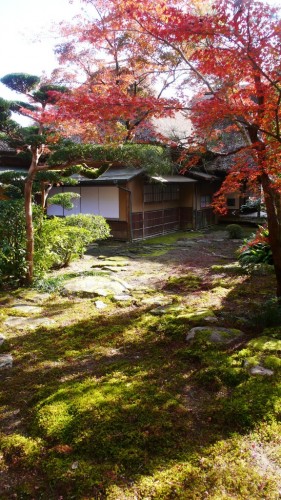 Discover Japanese Garden in Autumn at Kunenan in Saga prefecture, Japan.