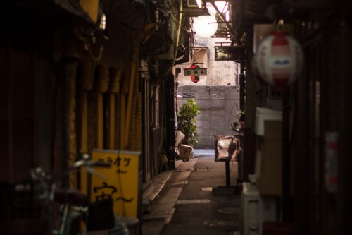 Tateishi in Tokyo is artisan and merchant quarters during the Edo Period.