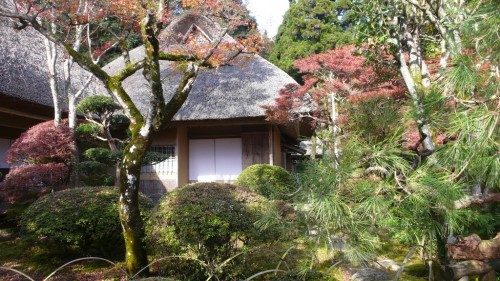 Discover Japanese Garden in Autumn at Kunenan