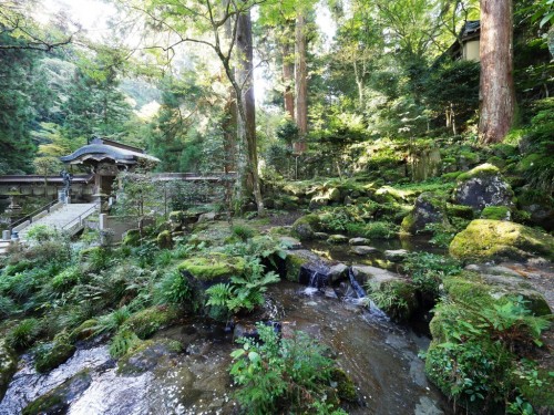 Daiyuzan Saijo-ji, the Sacred Mountain near Hakone, Kanagawa, Japan.