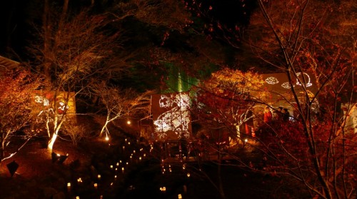Ogi bamboo lantern festival in Saga, Kyushu, Japan.