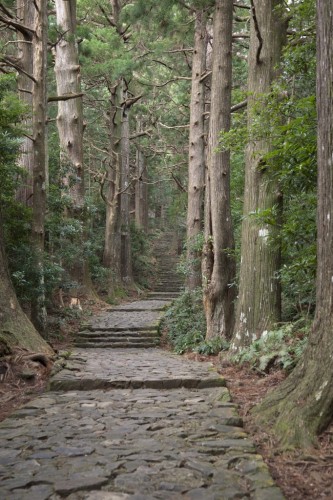 Kamano Kodo - A Pilgrimage Trail Designated as a UNESCO World Heritage Site, Japan.