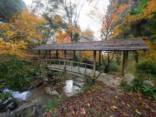 Discover satoyama scenery of Uchiko in the heart of the Japanese countryside, Shikoku.