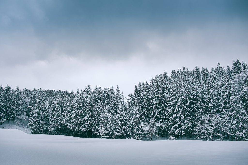 A Winter in Takane: Farmer's Stay and Snowshoeing