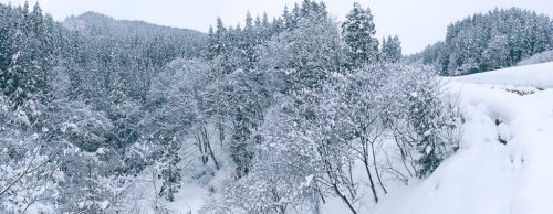 Takane Winter Landscape and Outdoor Snowshoeing Experience
