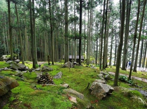 Experience the ‘Wa’ Harmony at Kokemushiro Café in Shikoku