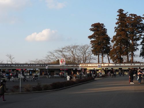 The historical Narita-san Temple near the Narita International Airport in Japan.