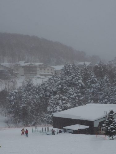 Garantierte Sensationen im Skigebiet Shiga Kogen - 2,5 Stunden von Tokio entfernt
