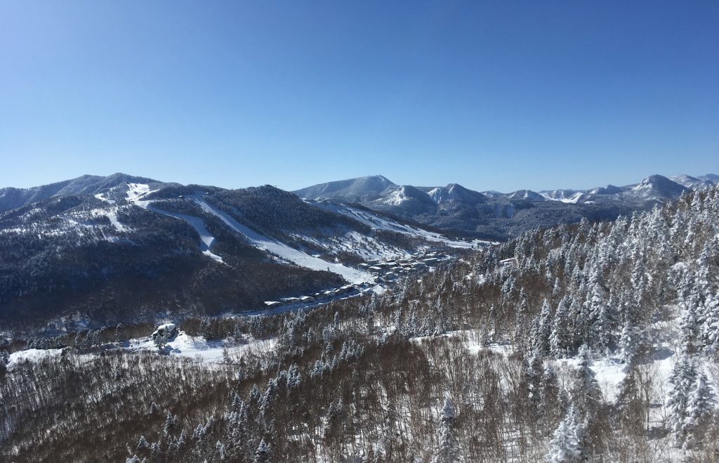 Guaranteed Sensations on the Shiga Kogen Ski Area, 2.5 Hours from Tokyo