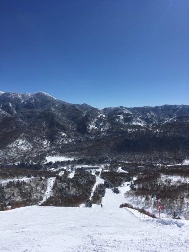 Garantierte Sensationen im Skigebiet Shiga Kogen - 2,5 Stunden von Tokio entfernt