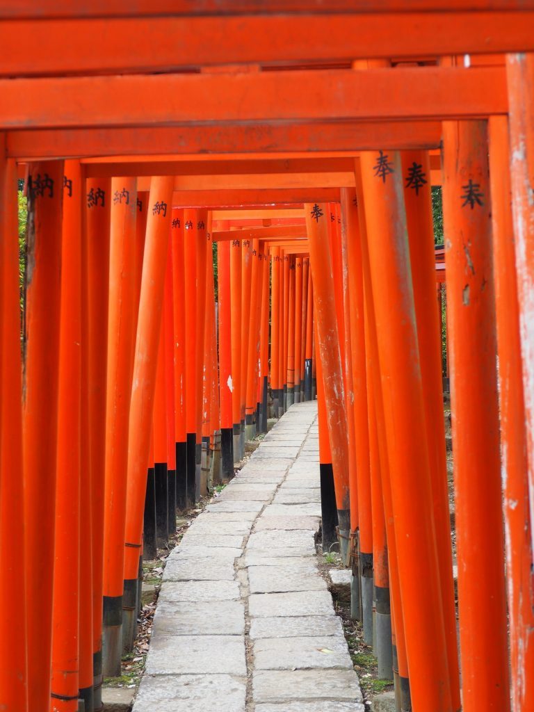 Nezu jinja Torii Gates at Yanesen area in Tokyo, Japan.