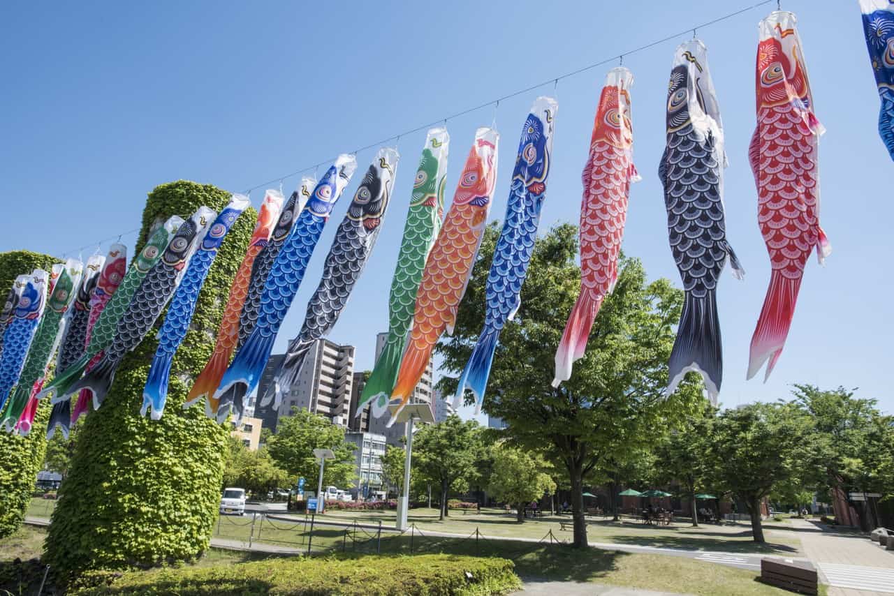 Mori no Koinobori - VOYAPON