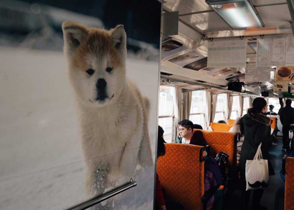 Riding the Rails on 2 Amazing Trains of Akita Prefecture - VOYAPON