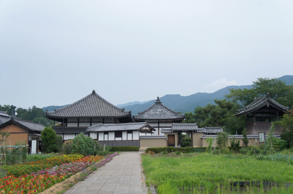 Reliving History in Asuka village, the birthplace of Japan 