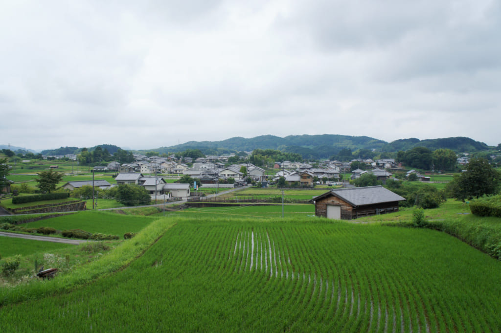 Green Tourism in the rural and historical village of Asuka, Nara