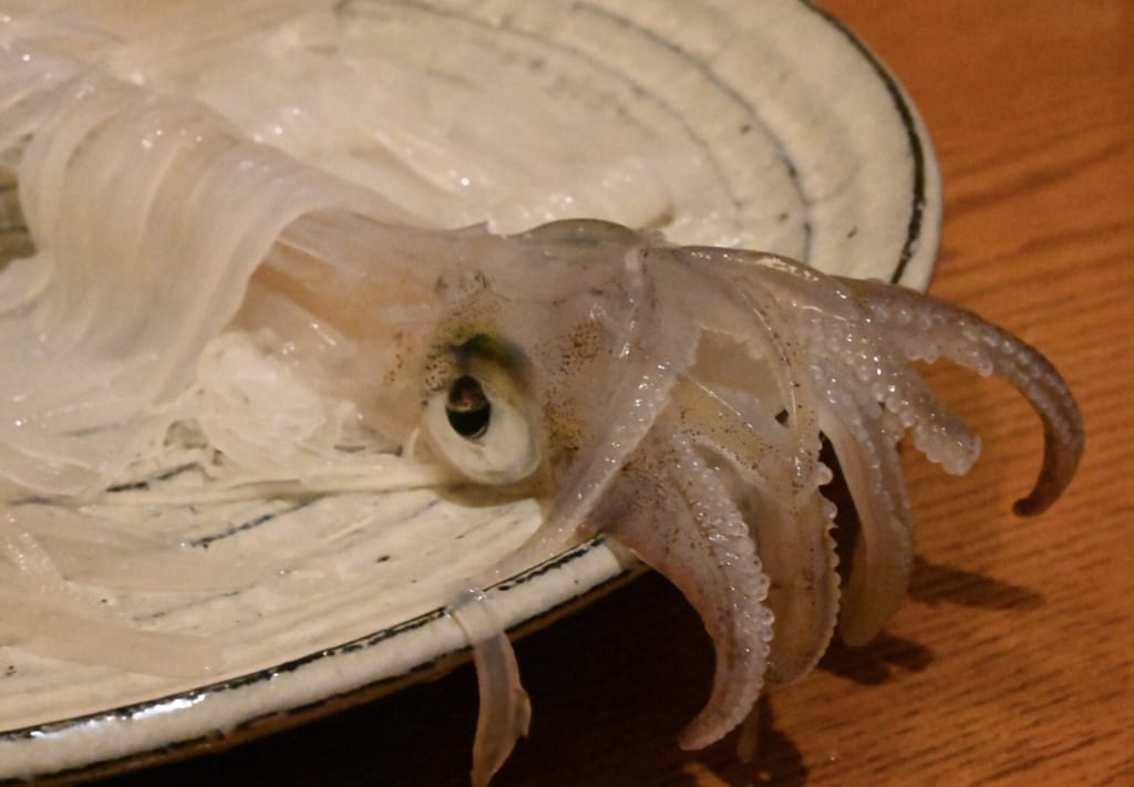 Fresh squid in Hakodate