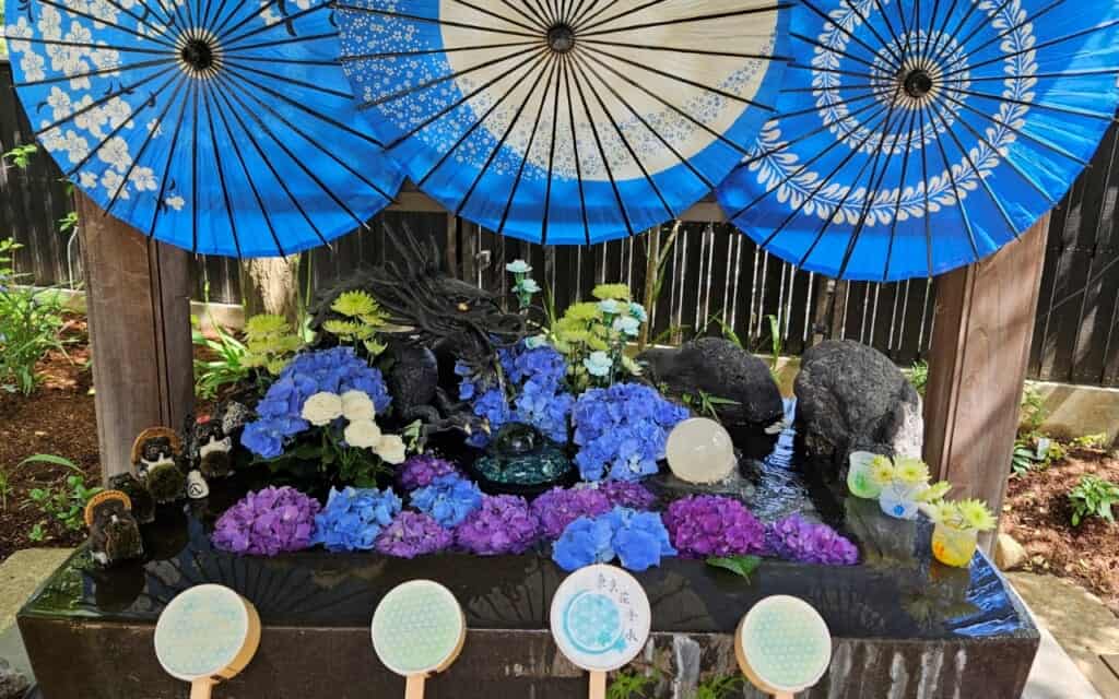 Fiori di ortensia nel chozuya di un tempio in Giappone
