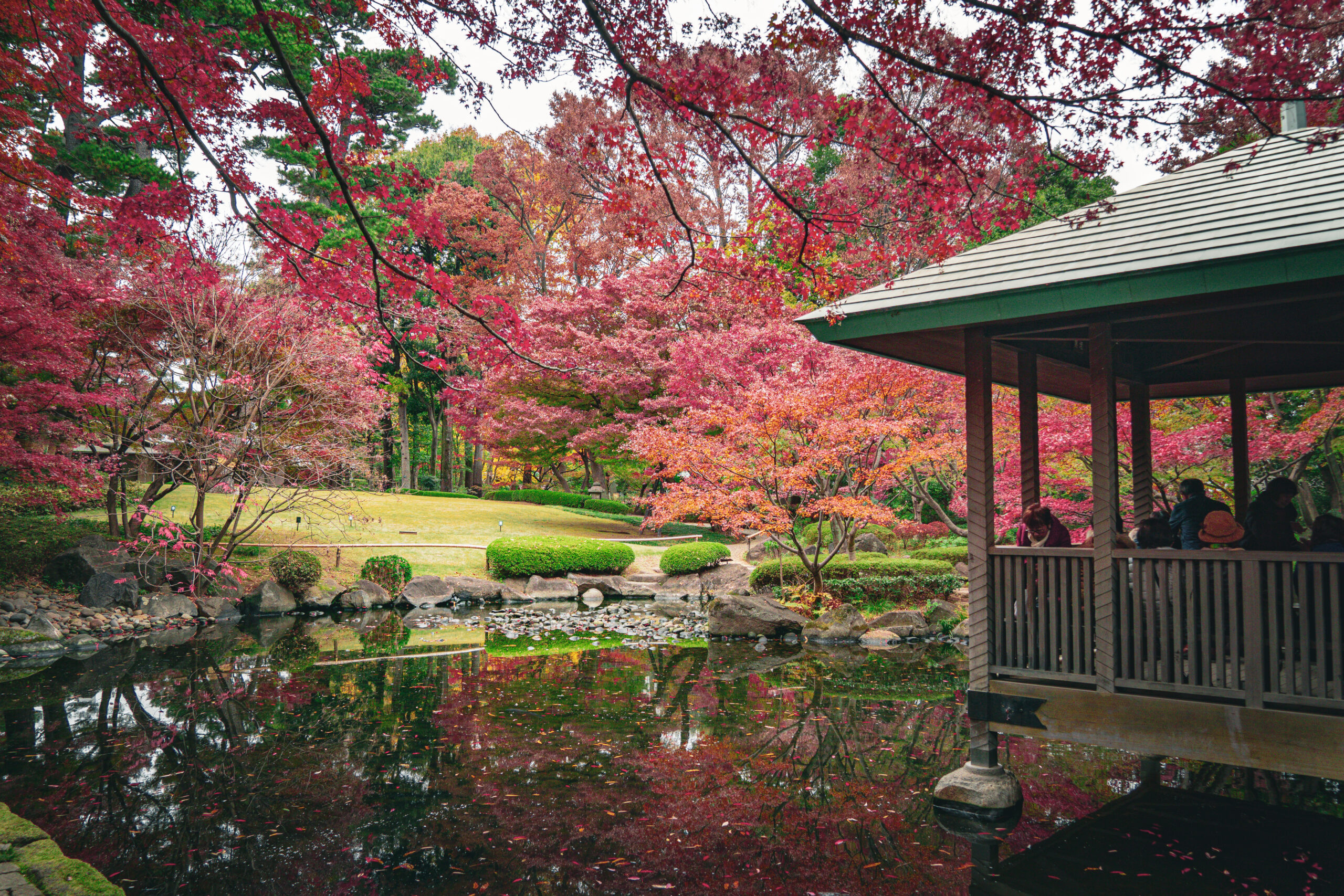 Best Events Japan November 2025