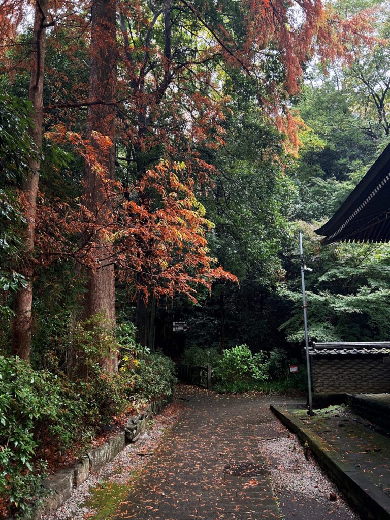 autumn leaves at Jindaiji temple