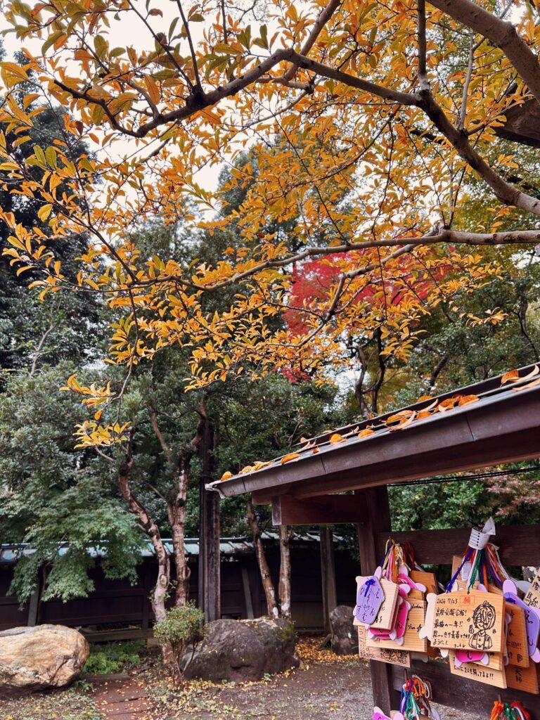 autumn leaves at Jindaiji temple