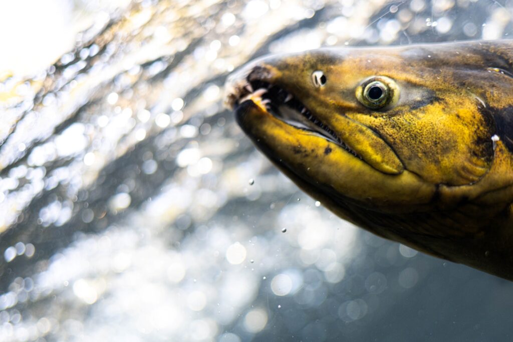North Daichi Aquarium  in Hokkaido